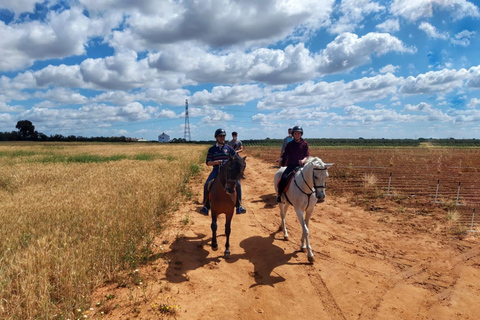 Vanuit Sevilla: Andalusische paardrijtochtVanuit Sevilla: paardenrit op Andalusiërs