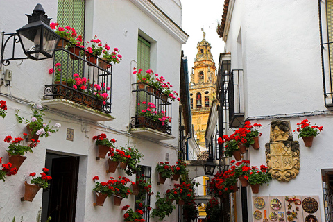 Viagem de um dia guiada a Córdoba saindo de SevilhaOpção Padrão