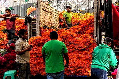 Mexico : Secrets du marché et cours de cuisine en 1/2 jourVisite privée