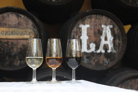 Da Siviglia: gita di un giorno con degustazione di sherry a Cadice e Jerez