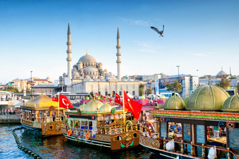 Istanbul : visite privée des points forts (1 ou 2 jours)Visite de 1 jour avec véhicule — anglais