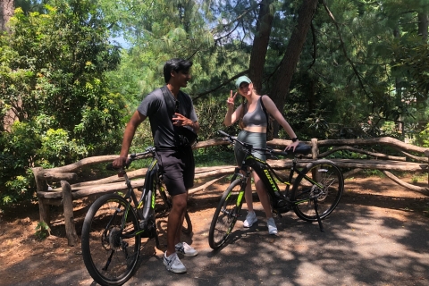 New York City: verhuur van elektrische fietsen in Central ParkDe hele dag elektrische fietsverhuur in Central Park