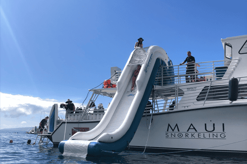Maui: 5-Hour Snorkel to Molokini Crater and Turtle Town