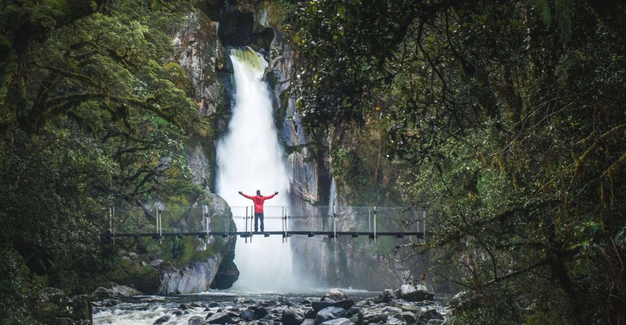 Milford Day Walk, Milford Track Day Walk in Milford Sound - Housity