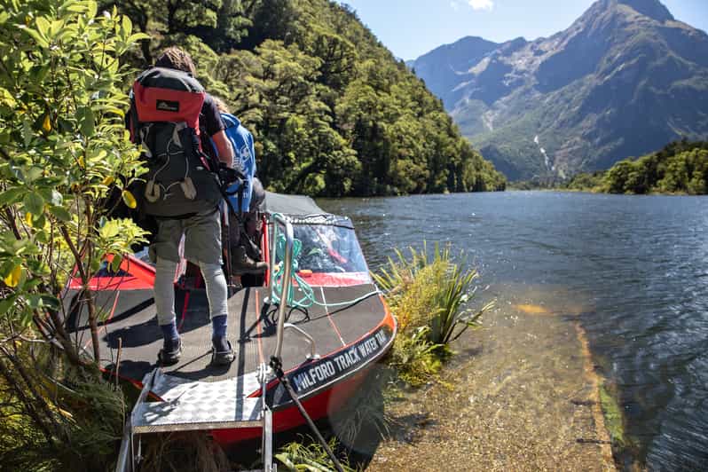Milford Sound Excursión de un día a Milford Track GetYourGuide