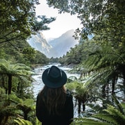 Milford Sound: Self-Guided Milford Track Day Walk