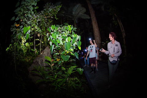 Cairns: nachtwandeling in de botanische tuin van Cairns