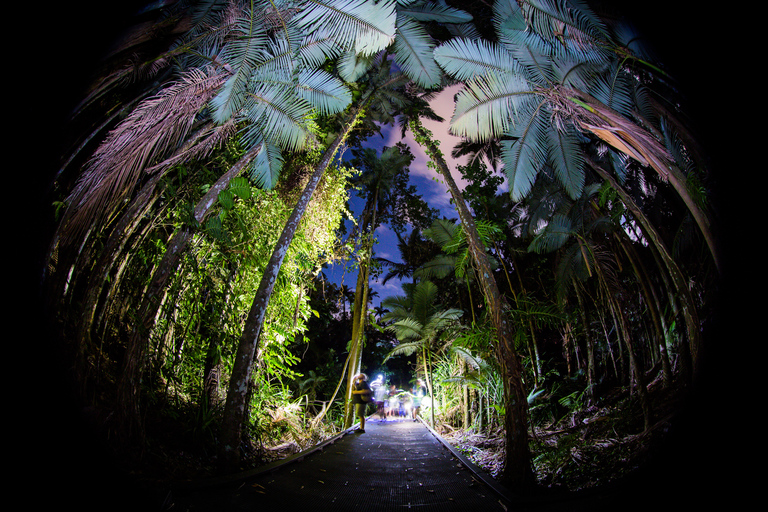 Cairns: nachtwandeling in de botanische tuin van Cairns