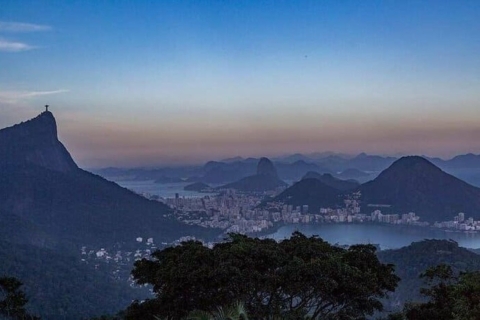 Rio: Tijuca National Park Private Guided Hike with Transfer Private Tour with Transfer from Pier Mauá Cruise Port