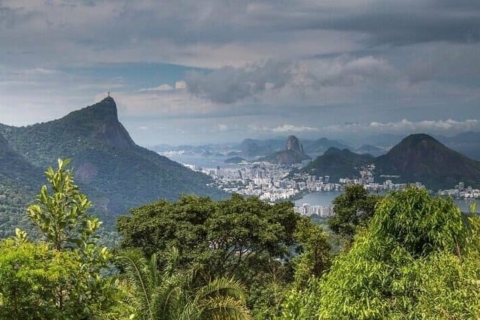 Rio: randonnée guidée privée dans le parc national de Tijuca avec transfertVisite privée avec transfert depuis le port de croisière de Pier Mauá