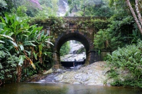 Río: caminata guiada privada por el Parque Nacional Tijuca con trasladoTour privado con traslado desde hoteles de Río