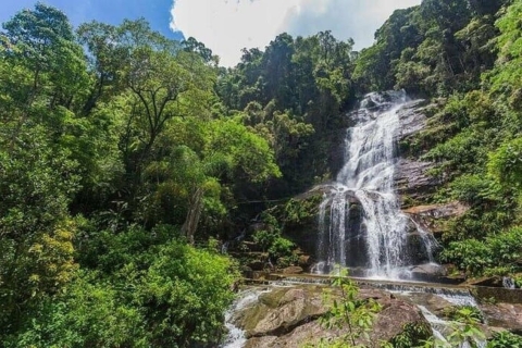 Río: caminata guiada privada por el Parque Nacional Tijuca con trasladoTour privado con recogida en el aeropuerto y regreso a los hoteles de Río