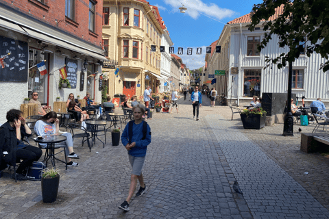 Gothenburg: Private Walking Tour with a Guide Standard Option