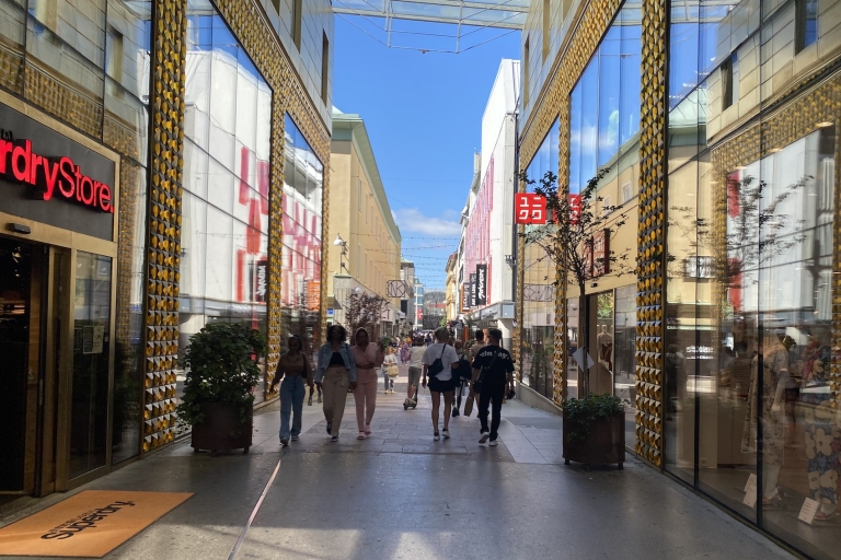 Gothenburg: Private Walking Tour with a Guide Standard Option
