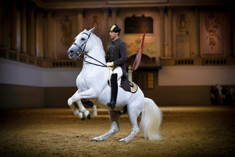 Vienna: Lipizzaner Special Admission Ticket Lipizzaner Special Admission Ticket Gallery 2 Longside