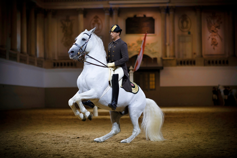 Vienna: Spanish Riding School 45-Minute Performance Show45-Minute Performance Admission Ticket - Gallery 2 Longside