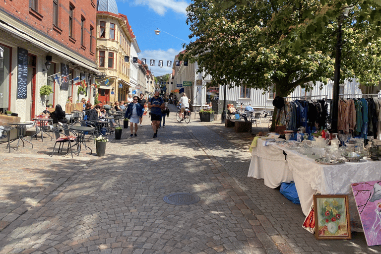 Gothenburg: Private Walking Tour with a Guide Standard Option