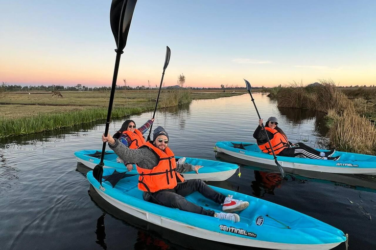 Xochimilco: Kajaktour und Salamanderbeobachtung