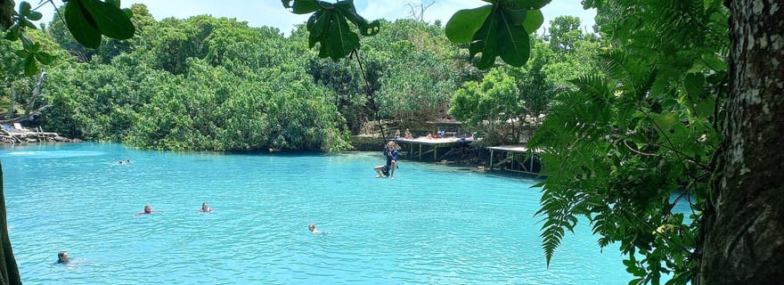 Port-Vila : excursion au lagon bleu et aux bébés tortues avec déjeuner barbecue