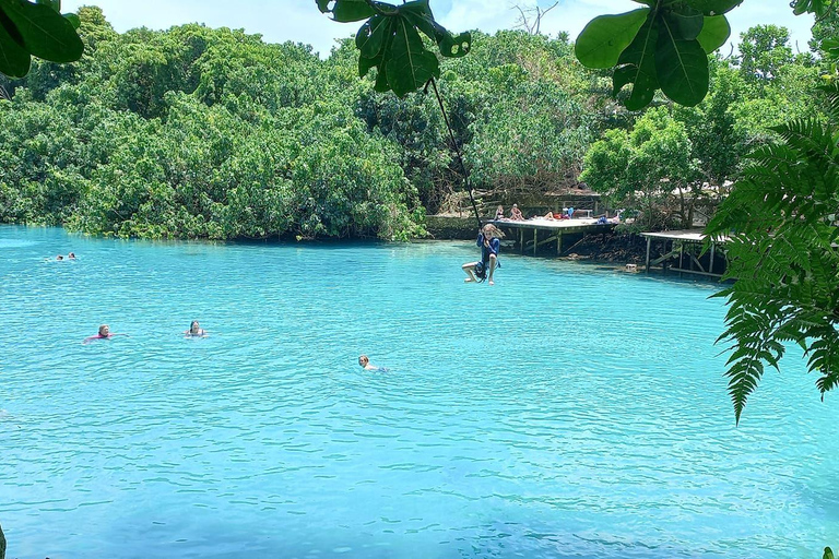 Port Vila: Blue Lagoon, Banana Bay, BBQ &amp; Turtles Day Tour