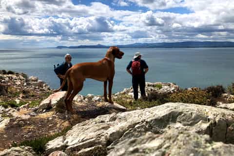 Howth Coastal Walk