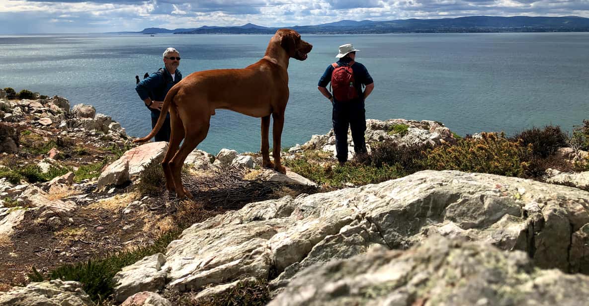 Howth Coastal Walk