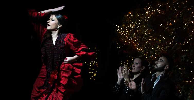 Madrid: spettacolo di flamenco con cibo e bevande opzionali