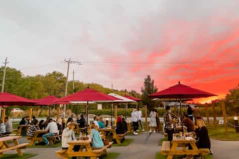Toronto: Niagara Wine Region Tour and Toronto Walking Tour