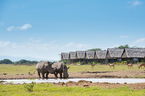 Z Nairobi: Całodniowa wycieczka do rezerwatu Ol Pejeta