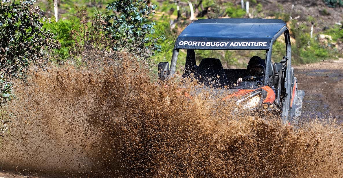 From Porto: Off-Road Buggy Adventure