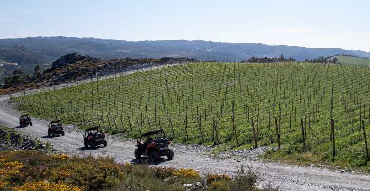 From Porto: Off-Road Buggy Adventure