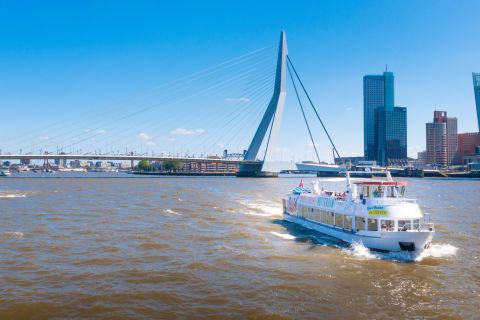Rotterdam: havenrondvaart en ticket Euromast