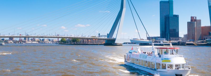 Rotterdam: rejs po porcie i bilet wstępu do Euromast