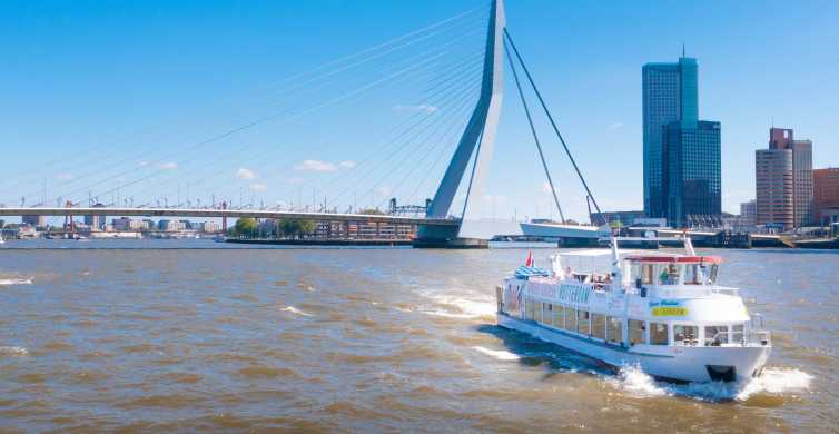 Rotterdam : croisière dans le port et billet d'entrée à l'Euromast