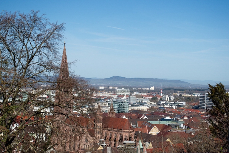 Freiburg: Historic City Center Walking Tour