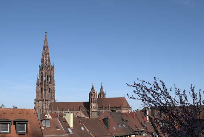 freiburg local tour