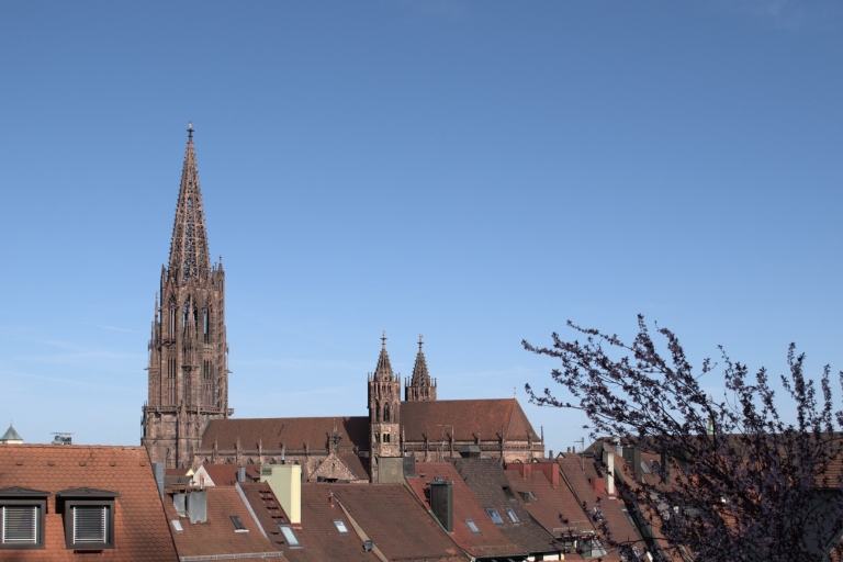 Freiburg: Historic City Center Walking Tour