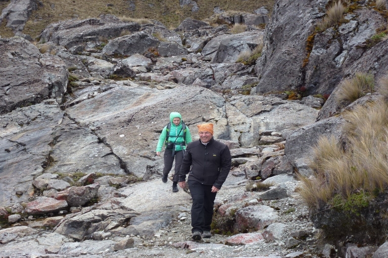 From Cuenca: Cajas National Park Half-Day Trip Group Tour