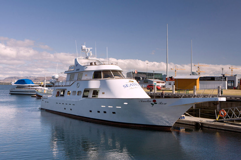 Reykjavik: New Years Fireworks Midnight CruiseReykjavik: Luxury New Years Fireworks Midnight Cruise