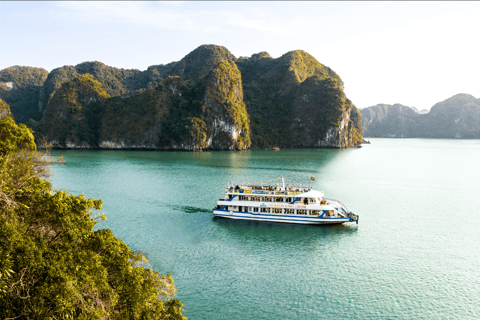 Dragon King 99 Ha Long Bay Day Cruise