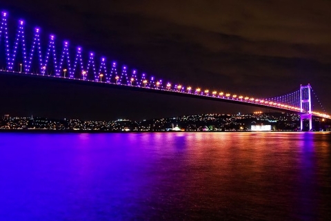 Istanbul: Dinner Cruise on the Bosphorus Dinner Cruise with Alcoholic Drinks