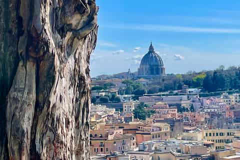 Best of Rome in 1 Day: Private Tour with Colosseum
