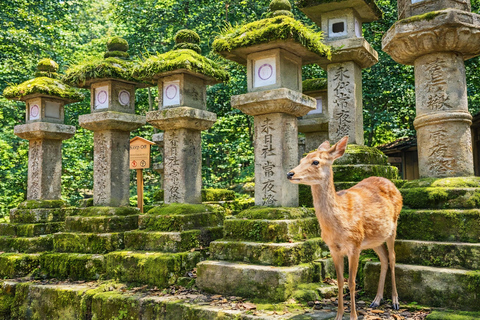 Kyoto: Private City Highlights Tour (Local Guide 6-Hour)