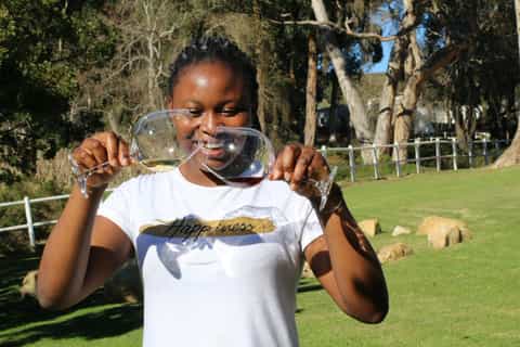 Cape Town: Winelands Full-Day Tour