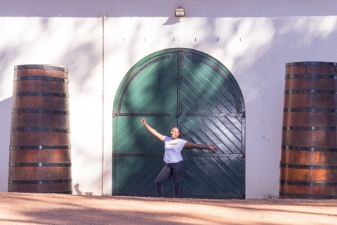 Cape Town: visite d'une journée dans les vignoblesVisite guidée en anglais
