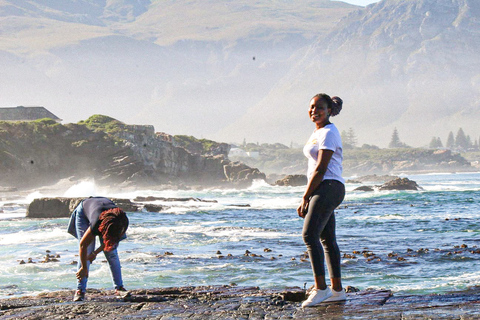 Desde Ciudad del Cabo: Cape Agulhas, Hemel en Aarde y Towns TourDesde Ciudad del Cabo: tour francés de Cape Agulhas y Hemel en Aarde