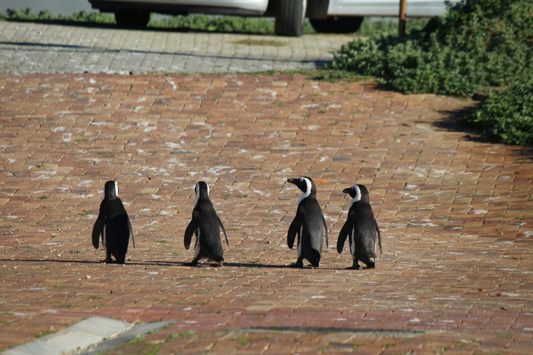 Van Kaapstad: Cape Agulhas, Hemel en Aarde, & Towns TourVan Kaapstad: Cape Agulhas & Hemel en Aarde Engelse Tour