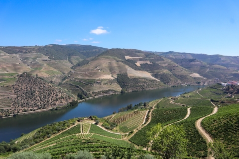 Douro Valley: Douro Valley Tour mit 3 WeingüternPrivate Tour