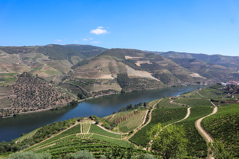 Dolina Douro: Wycieczka do Doliny Douro, w tym 3 winnicePrywatna wycieczka