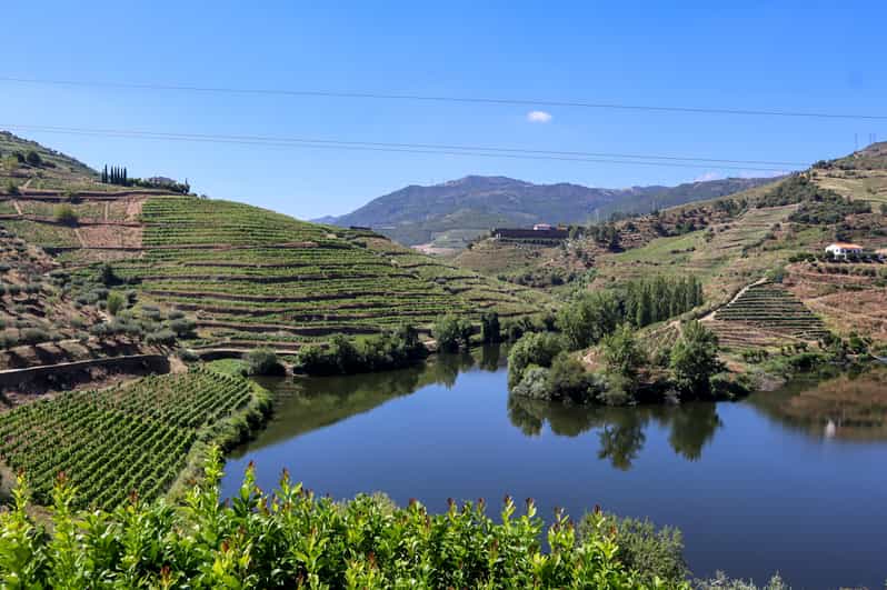 Douro Valley Douro Valley Tour Including 3 Wineries GetYourGuide